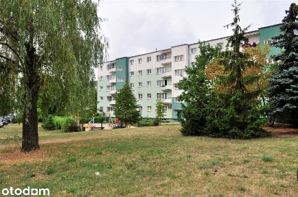 Mieszkanie 2 Pokojowe Wiklonowa Dębiec