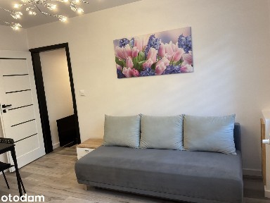 Mieszkanie Pomorzany na wynajem, dwa pokoje 38m, Powstańców Wlkp nr 8