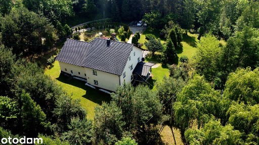 WYJĄTKOWE SIEDLISKO 1,63 HA Z WŁASNYM LASEM