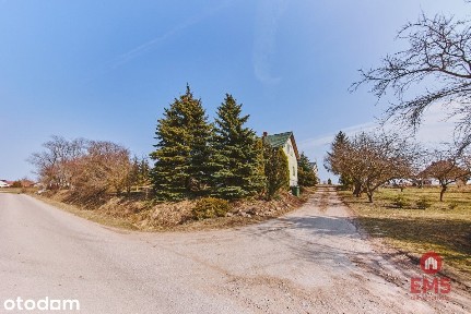 Olszanka, Rutka-Tartak, suwalski, podlaskie