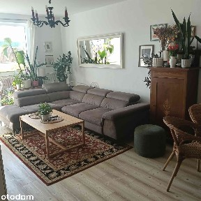 mieszkanie 3 pokojowe centrum miasta BEZPOŚREDNIO