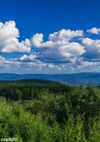 Myśliwska, Lutomia Górna, Świdnica, świdnicki, dolnośląskie
