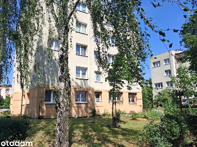 3 pokoje | ok. 50 m² | Śródmieście | cicho i zielono
