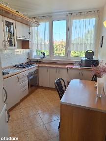 ul. Sokola, Borek, Krzyki, Wrocław, dolnośląskie