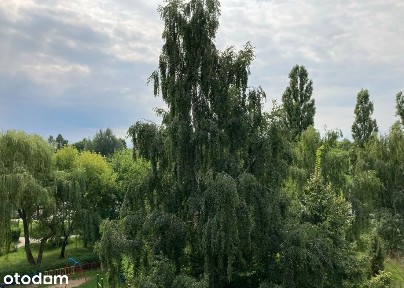 Przytulne, rozkładowe z pięknym widokiem w spokojnej okolicy