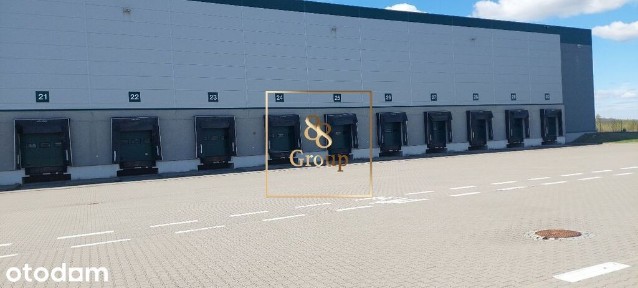 Magazyn na wynajem 5500m2 w Nowym Modlinie