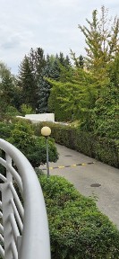 Zadbane 2 pokoje z osobną kuchnią | garaż podziemny w cenie | Szczęśliwice