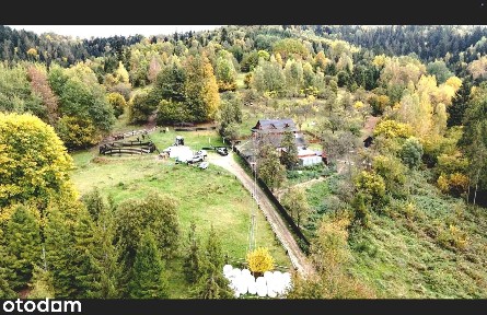 Siedlisko w Beskidzie Żywieckim 0,7ha - Rezerwacja