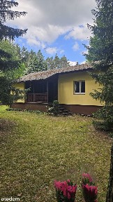 Wyjątkowa dom letniskowy działką 3 minuty od rzeki Bug - Brańszczyk