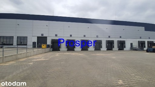 Krótkoterminowe Umowy doki, brama 0