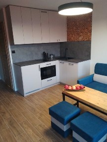 wynajme apartament na okres 6-7 miesięcy