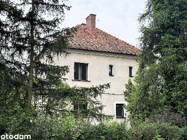 Dąbrowskiego 330, dobry adres, duża działka