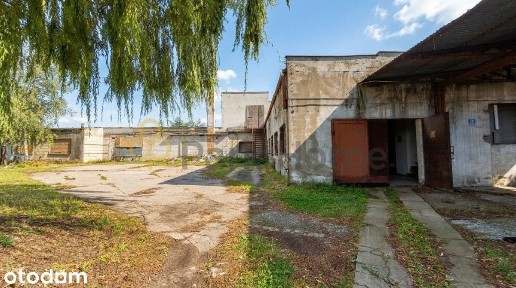 Rogalinek, Mosina, poznański, wielkopolskie