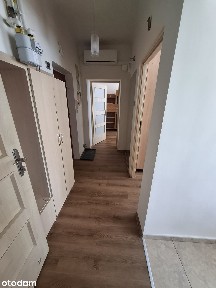 Mieszkanie z widokiem na korony drzew