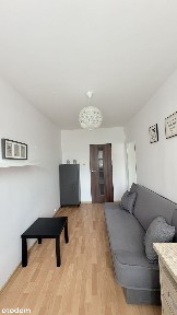 Wynajmę 2 pokojowe mieszkanie w idealnej lokalizacji