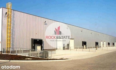 Nowy magazyn 3000 m2 w Duchnicach - 0% prowizji