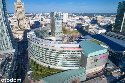 Duże biuro w centrum miasta