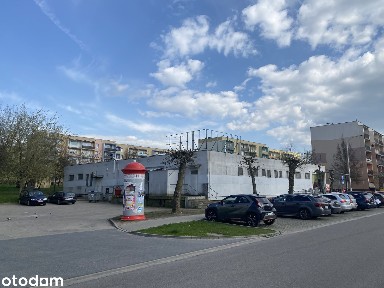 Pawilon wolnostojący na wynajem