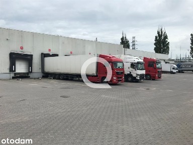 Magazyn Z Dokami W Toruniu, Od Zaraz