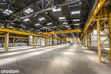 Magazyn-produkcja 3000m2 Warszawa Bielany