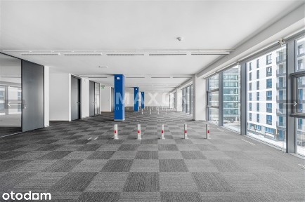 Open-space + salki.