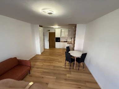 Kawalerka 33 m² Nowe | Botanik, ul. Willowa | BEZPOŚREDNIO | English
