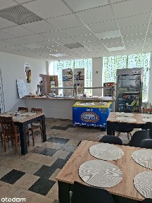Lokal gastronomiczny 100 mkw Dr. M. Majdanka, odstępne