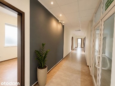 Lokal użytkowy, 239,43 m², Zielona Góra