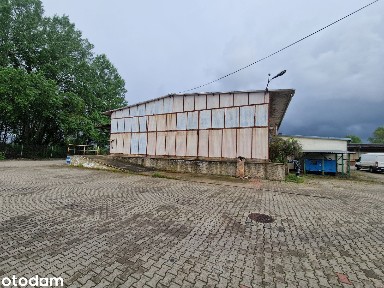Hale z rampą wynajmę, Szczecin (Dąbie/Zdroje)