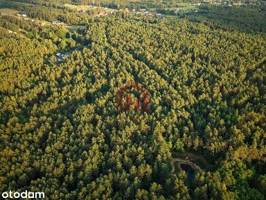 Dom W Lesie Na Działce 1,45 Ha - Kamionka