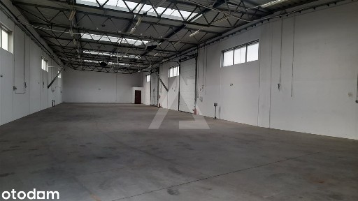 Hala na wynajem, Bydgoszcz