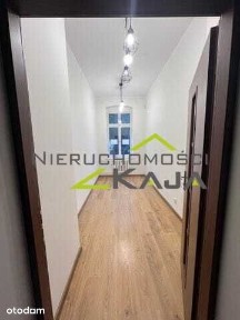 lokal w centrum miasta - do wynajęcia