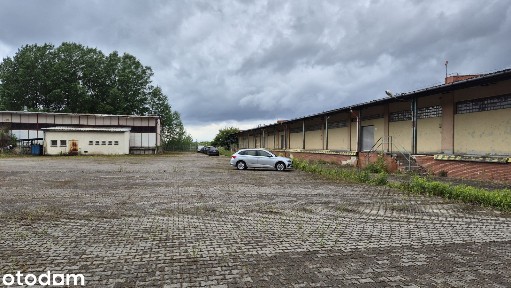Hale magazynowe z placem manewrowym i składowym, sprzedam, Szczecin