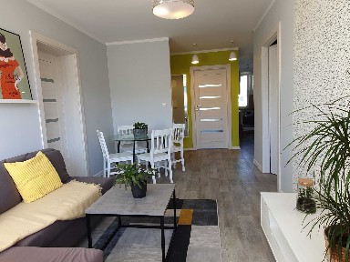 Pokój jednoosobowy plus wspólny salon, blisko UMK