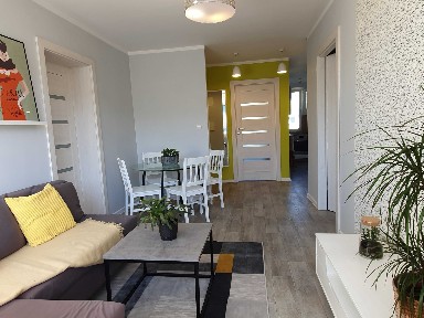 Pokój jednoosobowy plus wspólny salon, blisko UMK