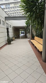 ul. Ogrodowa, Centrum, Stare Miasto, Poznań, wielkopolskie