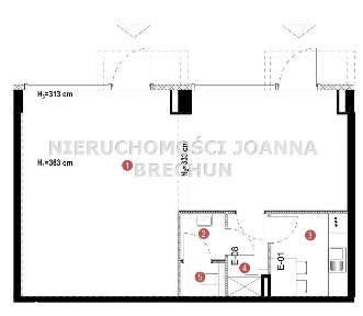ul. Księcia Witolda / z potencjałem