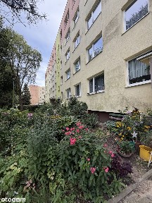 Do Aranżacji | 3 Pokoje | 61 m2 | Pełna Własność | Balkon Loggia