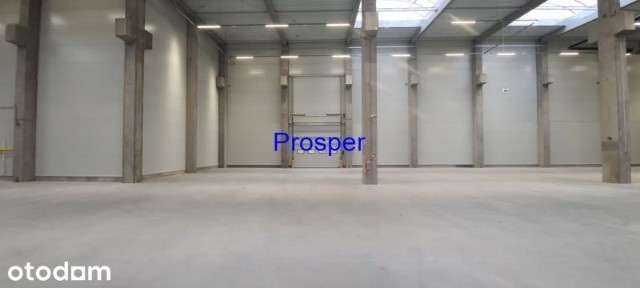 produkcja wys.9m bramy 0