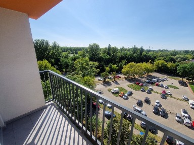 Okazja cenowa na dzielnicy -Kierocinskiej Sosnowiec 50.5 m2
