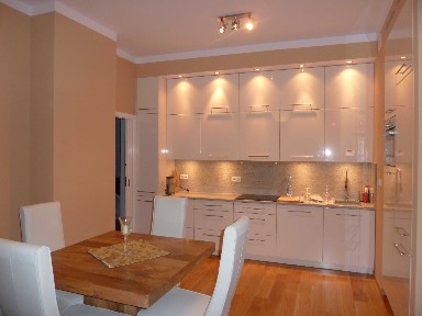 Śródmieście, ul. Wspólna, apartament 50 m2, 2 pokoje, meble, AGD