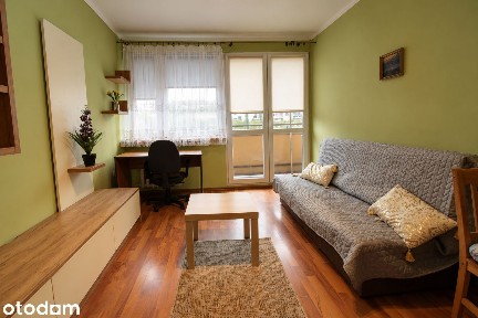 Dwupokojowe| Centrum| 3800 całość| Zwierzta| Balkon|Od zaraz|PL|ENG|RU