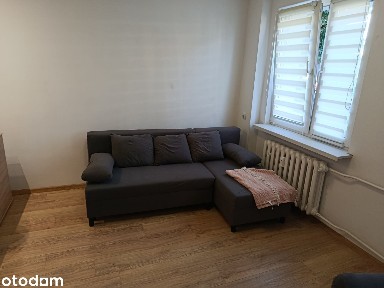 Minikawalerka Bezposrednio super lokalizacja