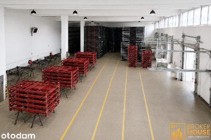 Wspólna, Półwieś, Opole, opolskie