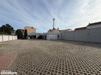 Lokal użytkowy, 537,39 m², Grudziądz