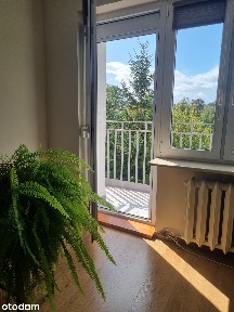 Jasne 64 m², 3/4 pokoje przy parku! Wichrowe Wzgórze [Bezpośrednio]