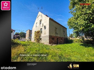 Potencjał w niskiej cenie!