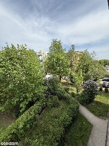 ***Centrum***Trzypokojowe***Bezpośrednio***Świetna inwestycja***