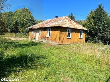 Sprzedam siedlisko, dz. 33 ar/las/2xdziałki rolne.