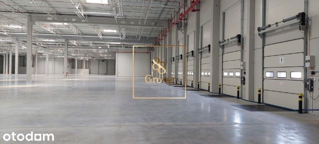 Do wynajęcia magazyn 4700m2 w Radzyminie